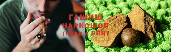 индика Алзамай
