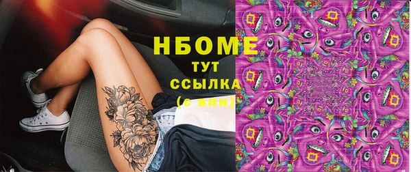 индика Алзамай