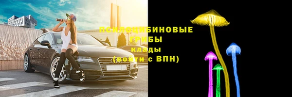 индика Алзамай
