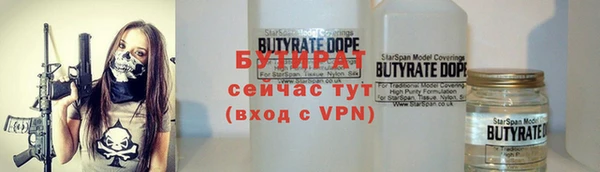индика Алзамай