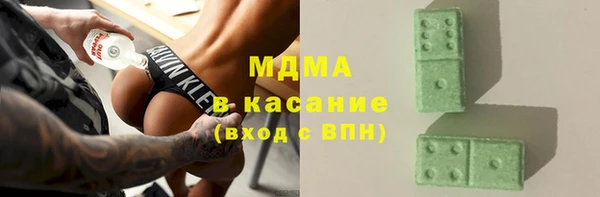 индика Алзамай