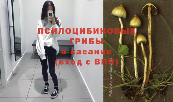 хмурый Алексеевка