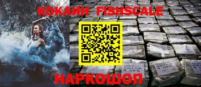 гидропоника Камышлов