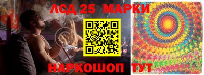 гидропоника Камышлов