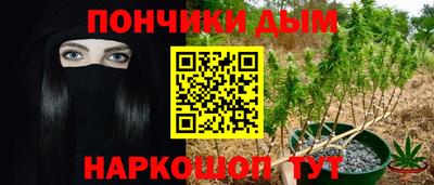 гидропоника Камышлов