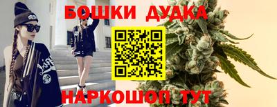 гидропоника Камышлов