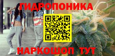 молекула духа Кандалакша