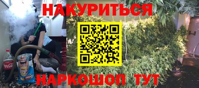 гидропоника Камышлов
