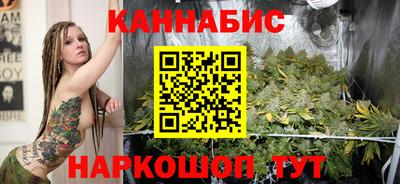 гидропоника Камышлов